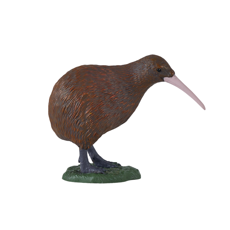New Zealand Kiwi