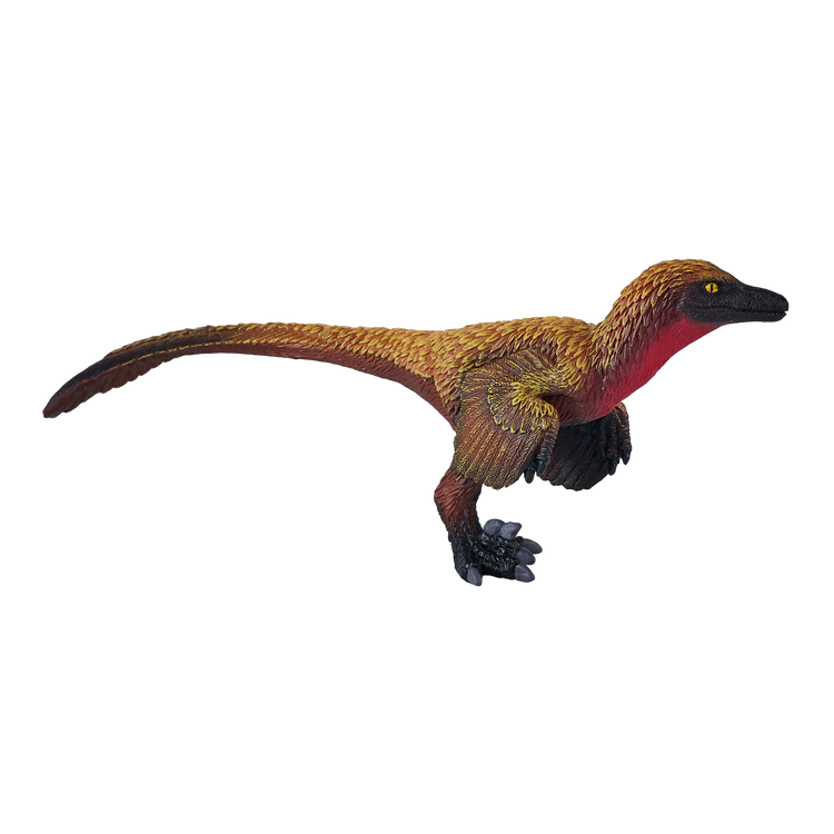Velociraptor