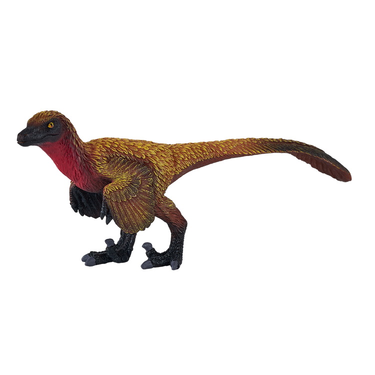Velociraptor