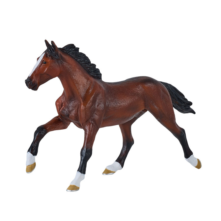 Thoroughbred
