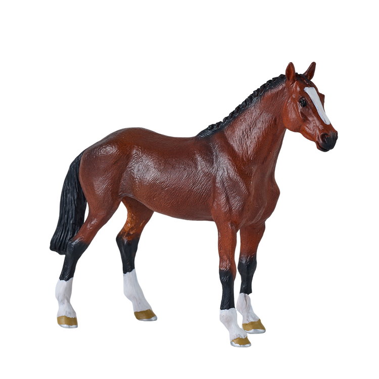 Dutch Warmblood