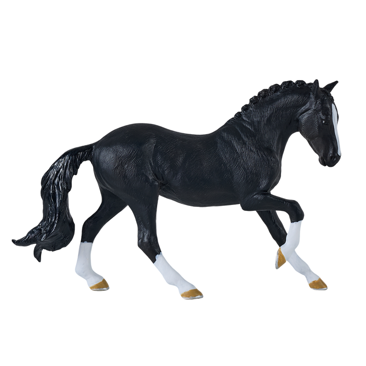 Hanoverian Black
