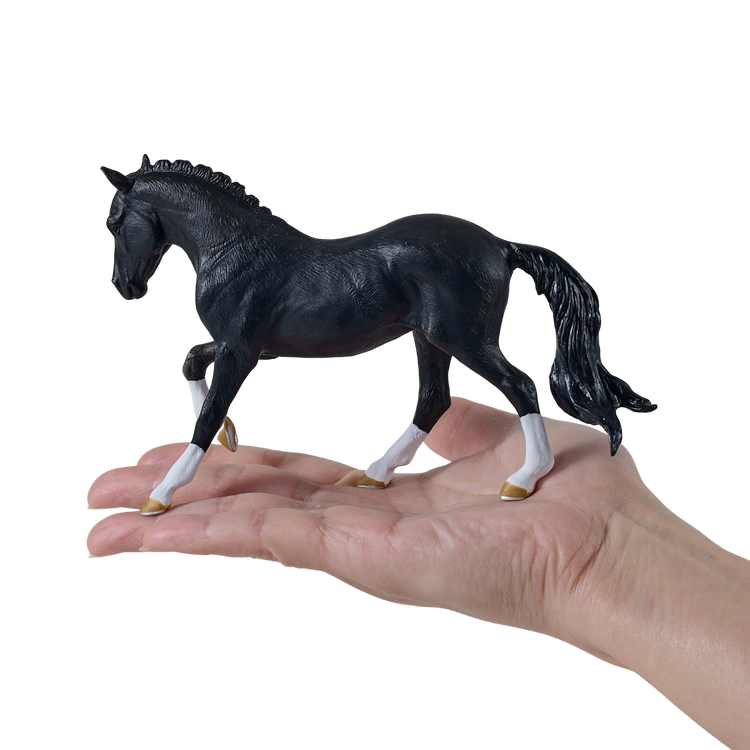 Hanoverian Black