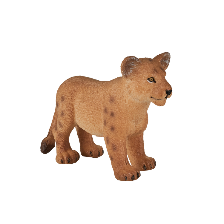 Lion Cub Standing