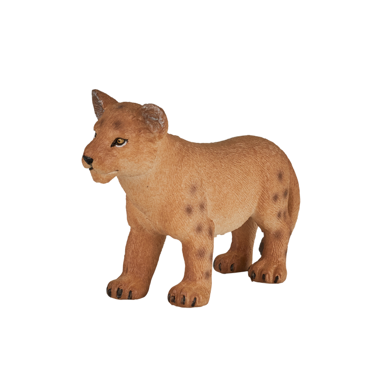 Lion Cub Standing