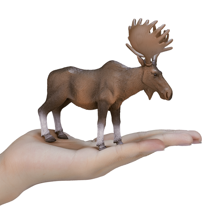 Moose
