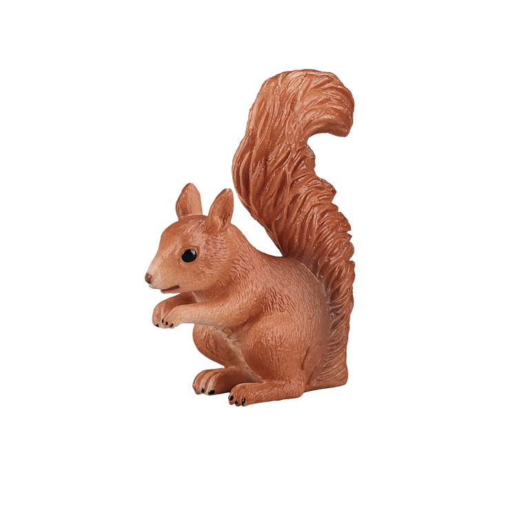 Squirrel Standing