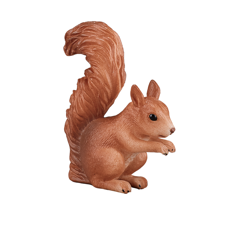 Squirrel Standing