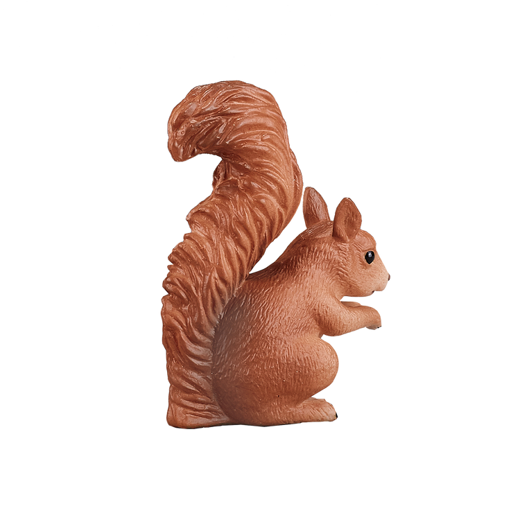 Squirrel Standing