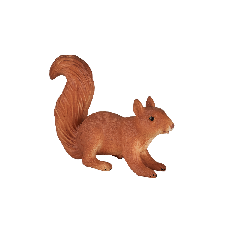 Squirrel running