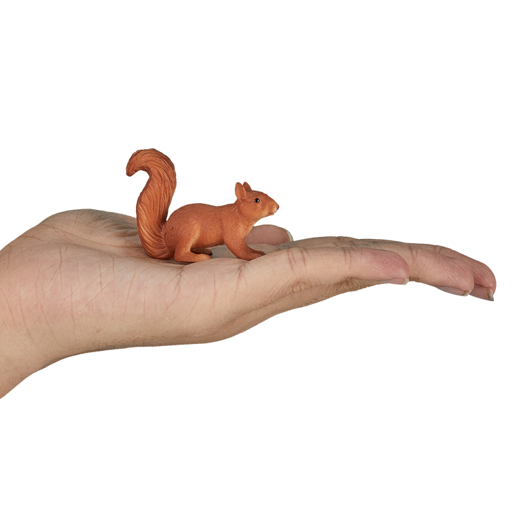 Squirrel running