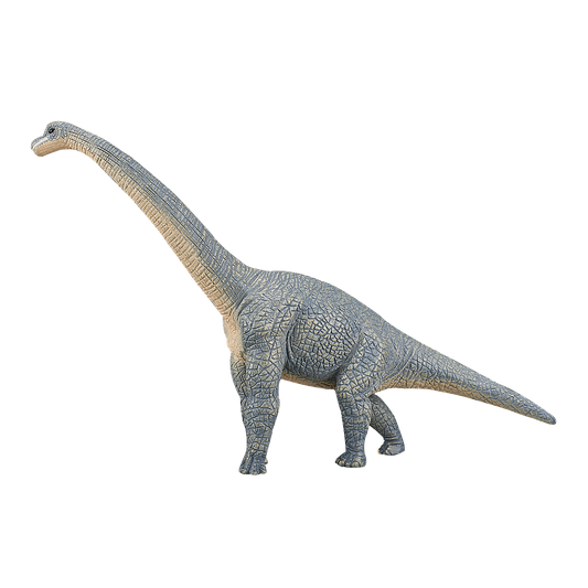 Brachiosaurus