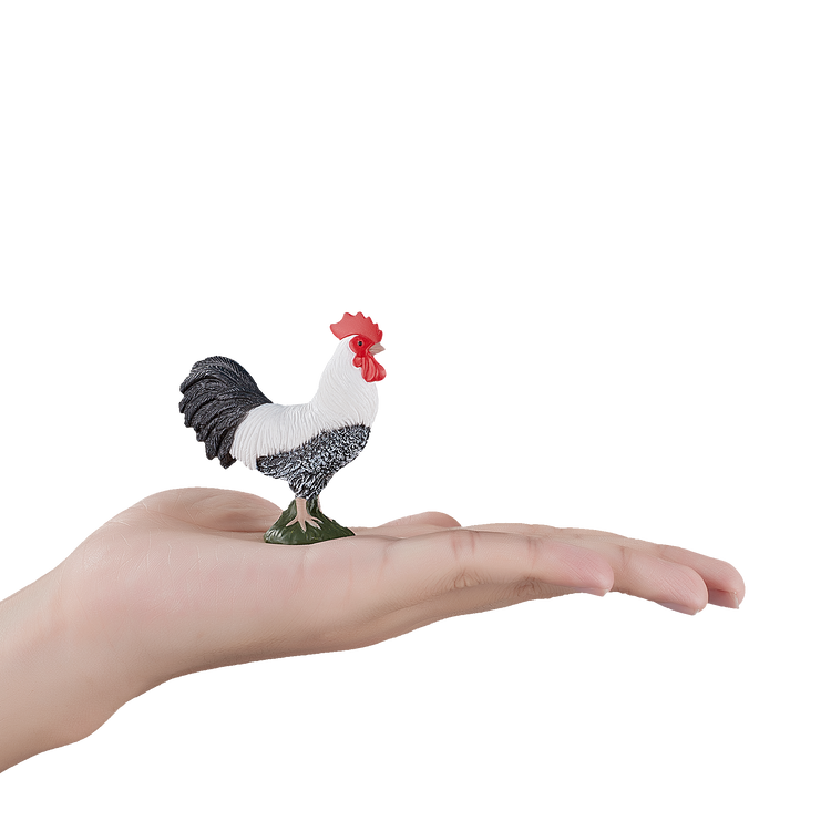 Cockerel