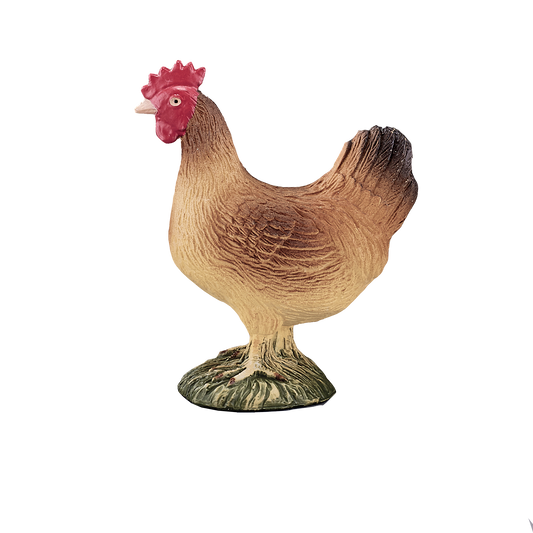 Hen Standing