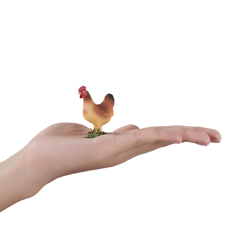 Hen Standing