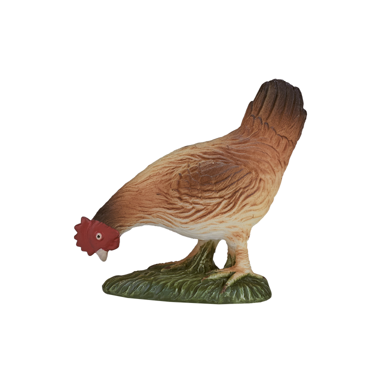 Hen Eating