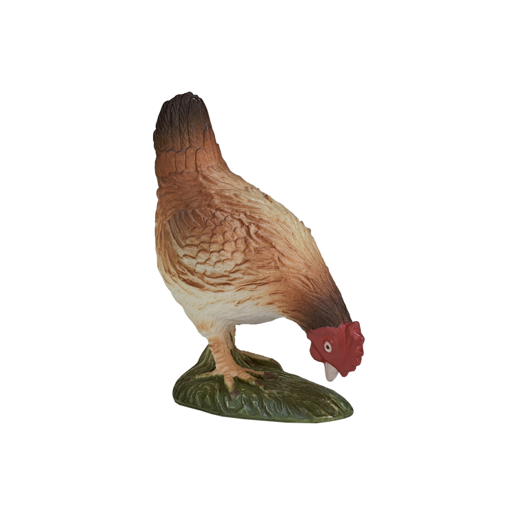 Hen Eating