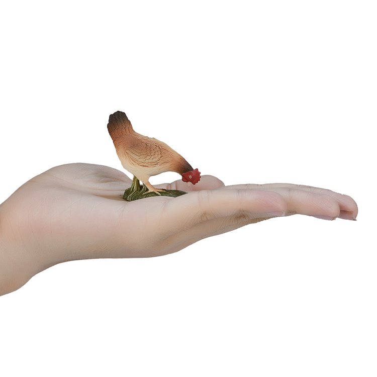 Hen Eating