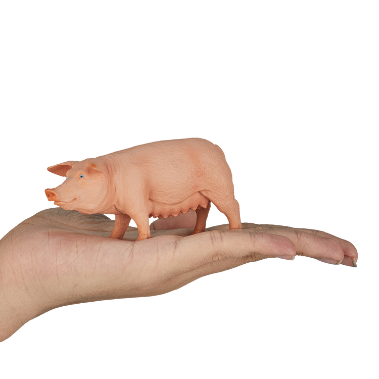 Pig (Sow)