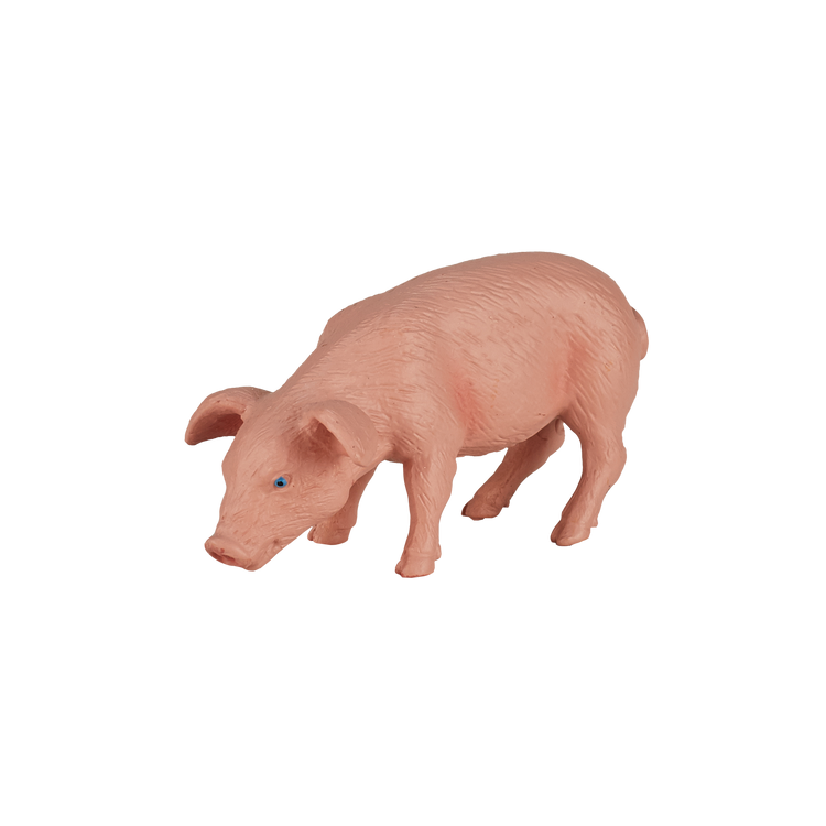 Piglet Feeding