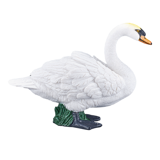 Mute Swan