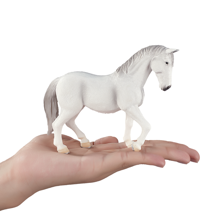 Lipizzaner Mare