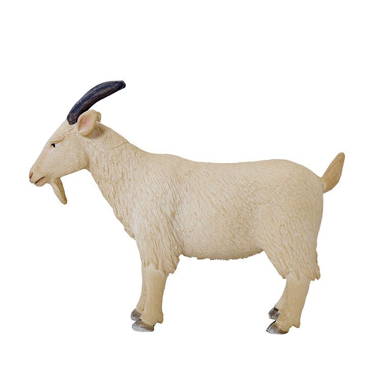 Billy Goat