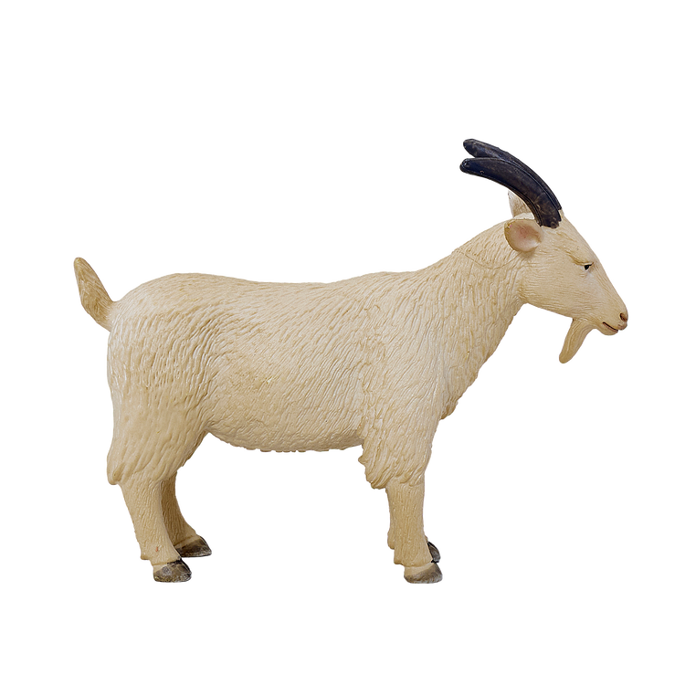 Billy Goat