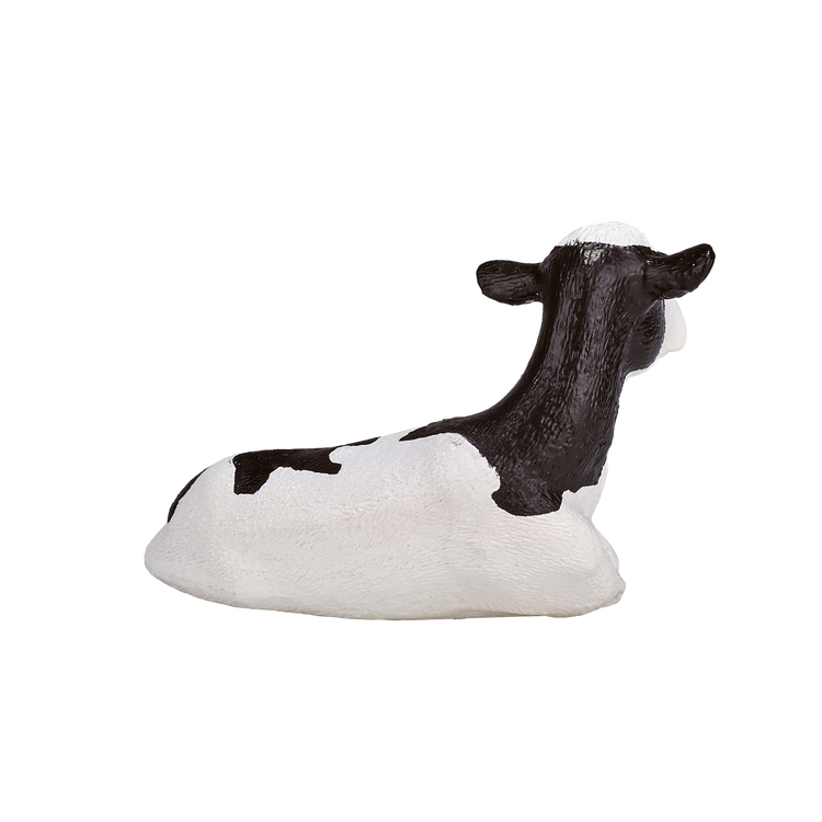 Holstein Calf laying down