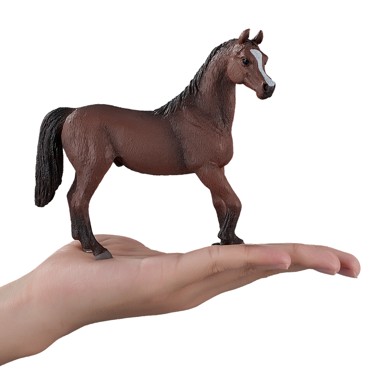 Arabian Stallion Chestnut