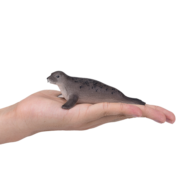Grey Seal