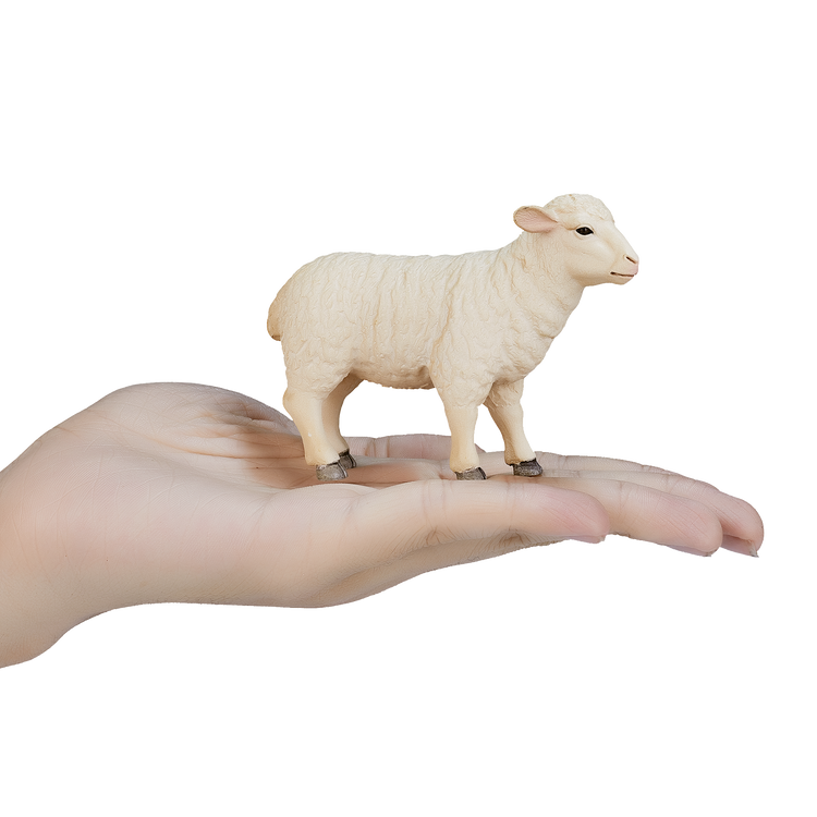 Sheep (Ewe)