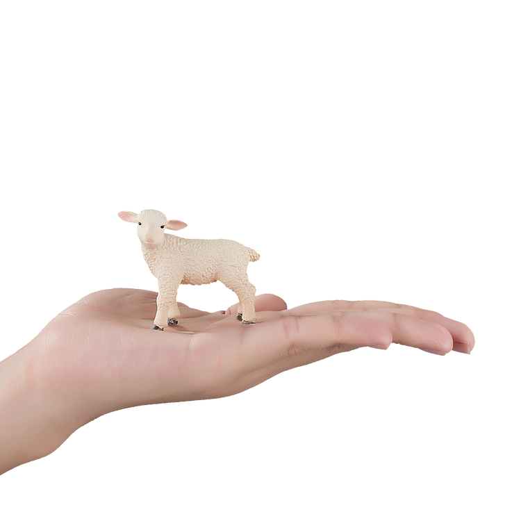 Lamb Standing