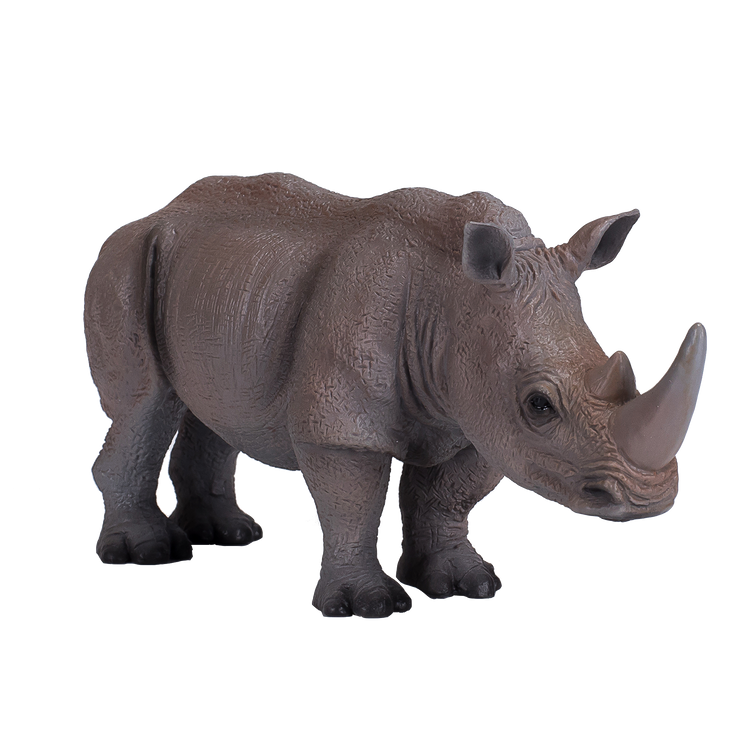 White Rhinoceros