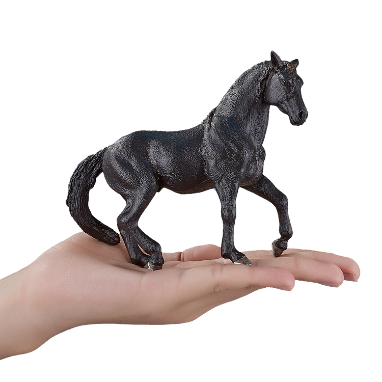 Andalusian Black