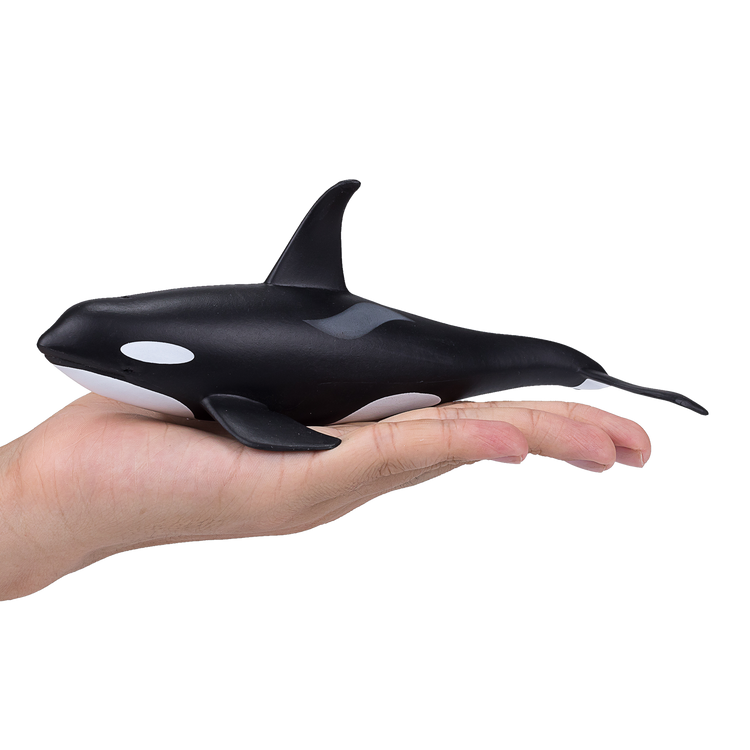 Orca Male