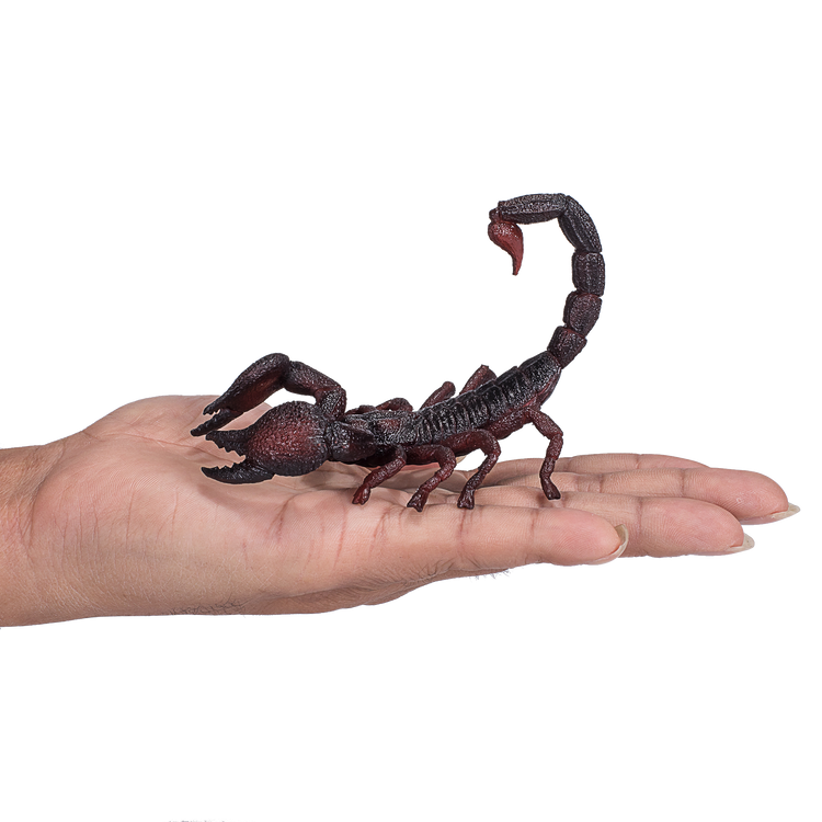 Emperor Scorpion