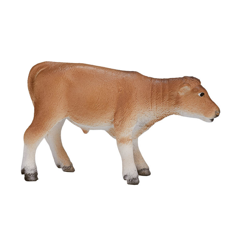 Jersey Calf standing
