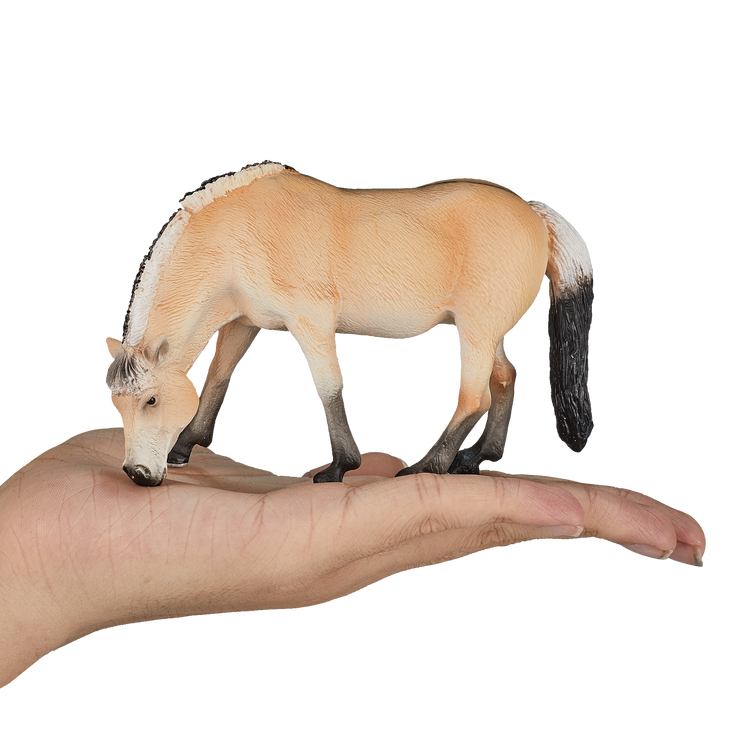 Fjord Mare