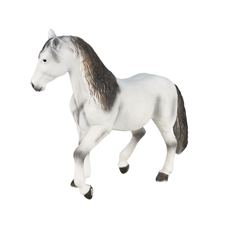 Andalusian Grey