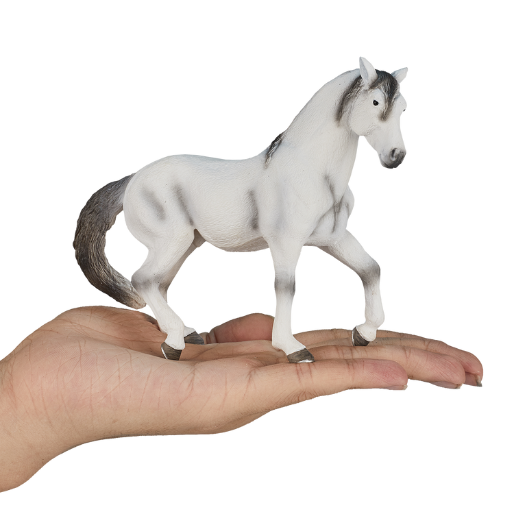 Andalusian Grey