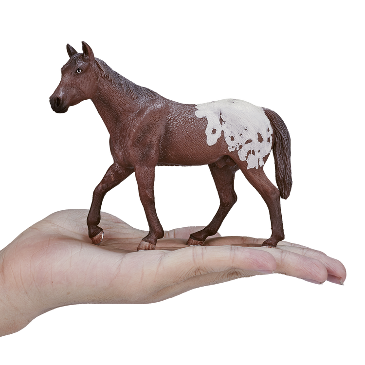Appaloosa Stallion Chestnut Blanket