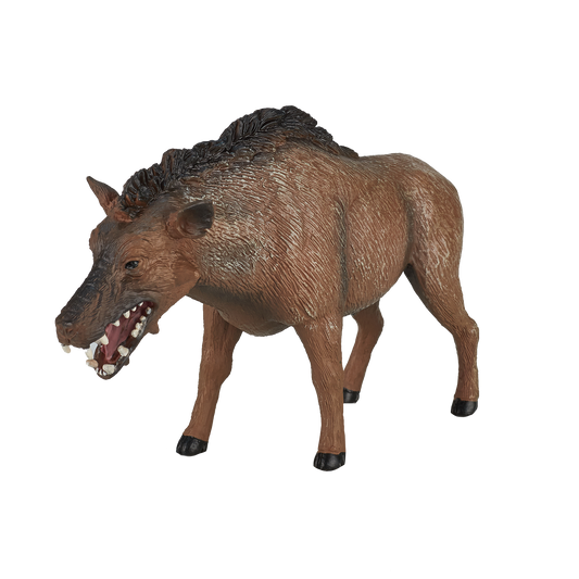Entelodont Daeodon