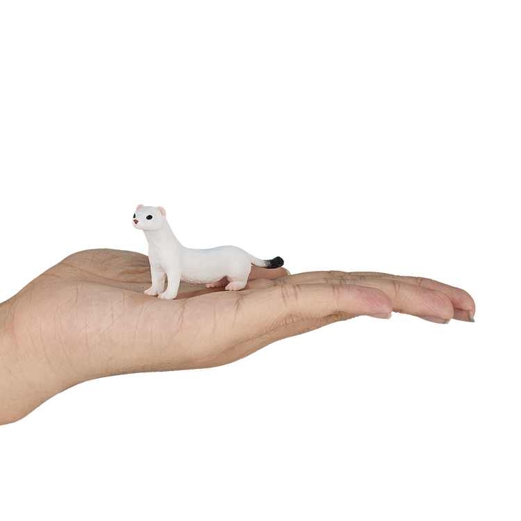 Ermine