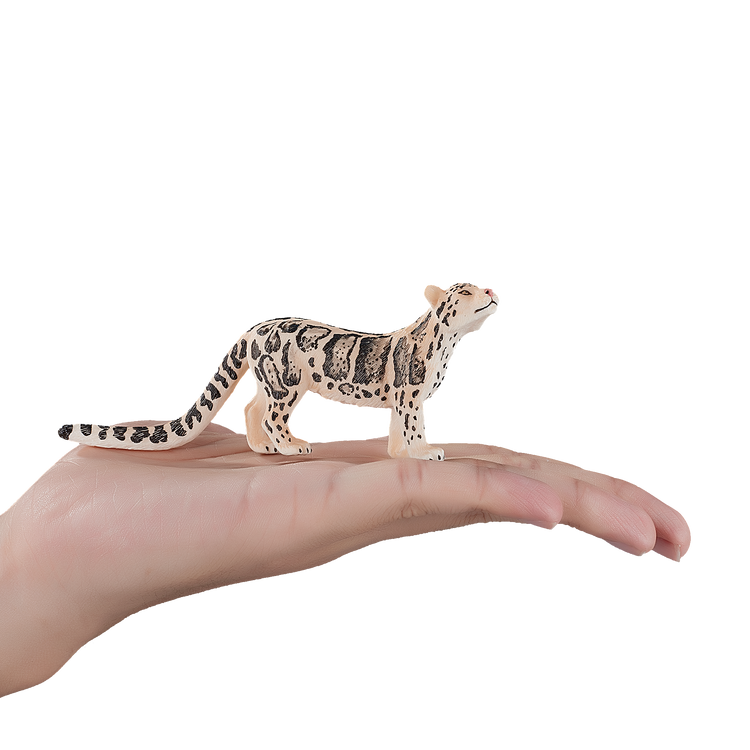 Clouded Leopard
