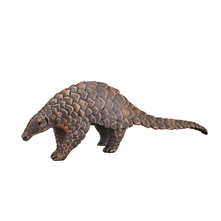 Indian Pangolin