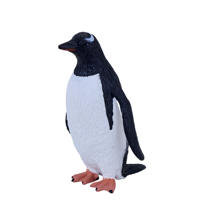 Gentoo Penguin