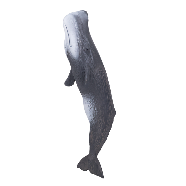 Sperm Whale