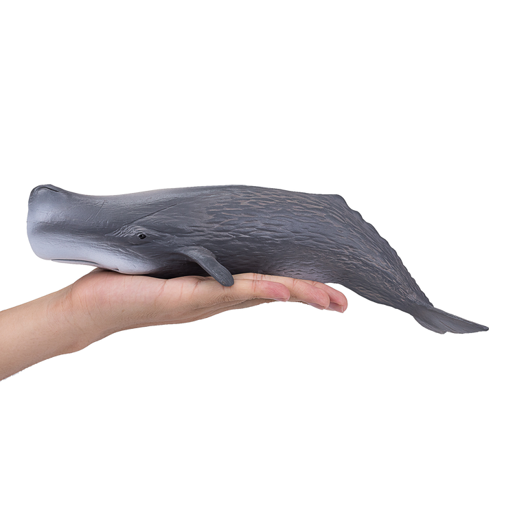 Sperm Whale
