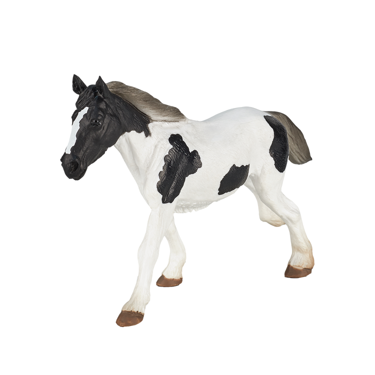 Tinker Yearling